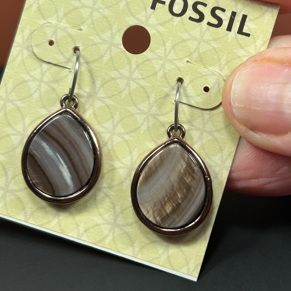 Fossil Natural Botswana Teardrop Earrings